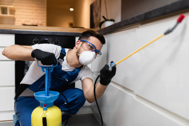 Best Bed Bug Extermination  in Indian Hills, CO