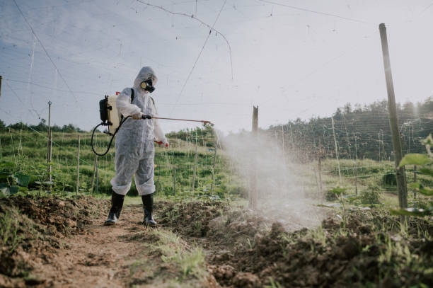 Best Local Pest Control Services  in Indian Hills, CO