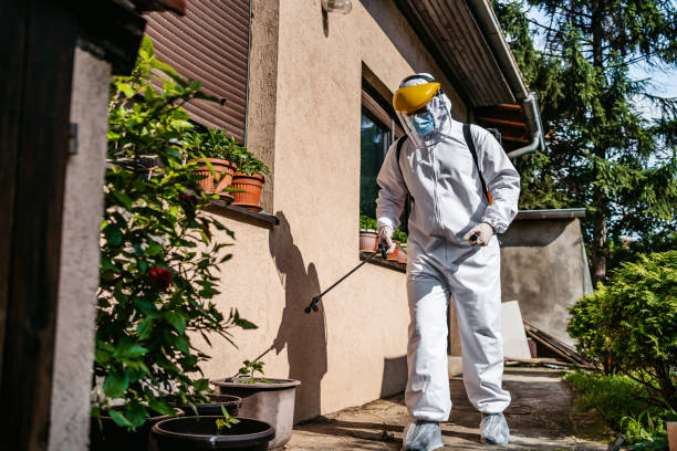 Professional Pest Control in Indian Hills, CO