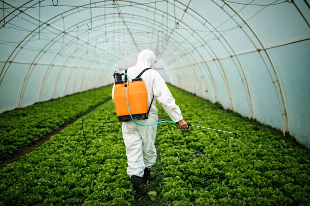 Best Insect Control  in Indian Hills, CO