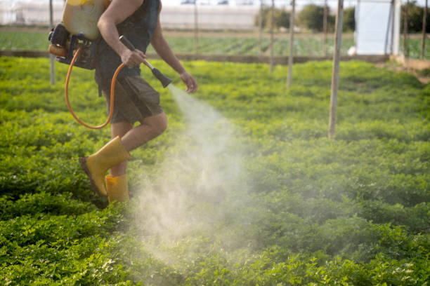 Best Pest Control Near Me  in Indian Hills, CO